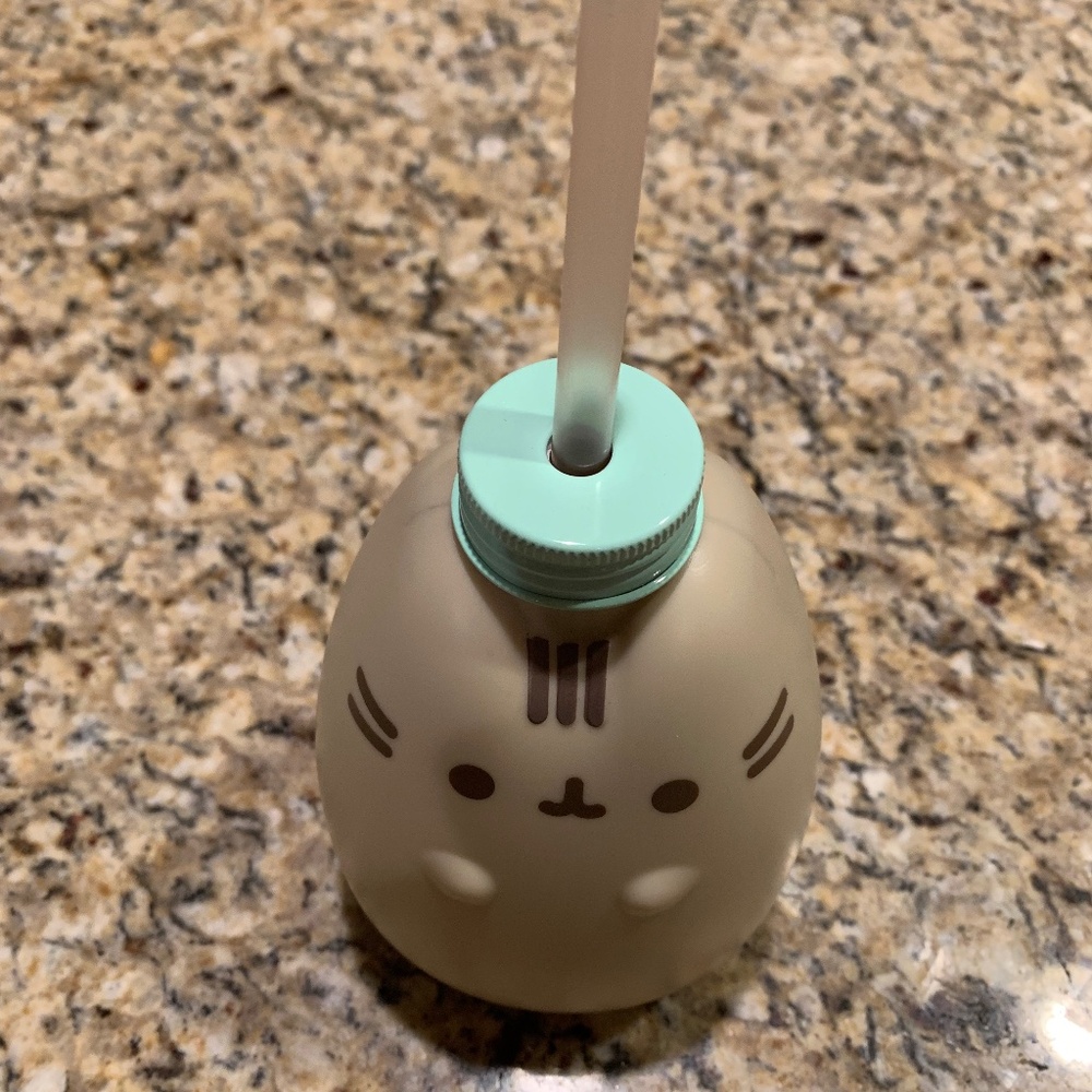 Pusheen NWT Figural Carnival Cup